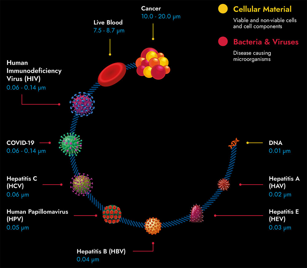 Infografía de la página de destino PX5