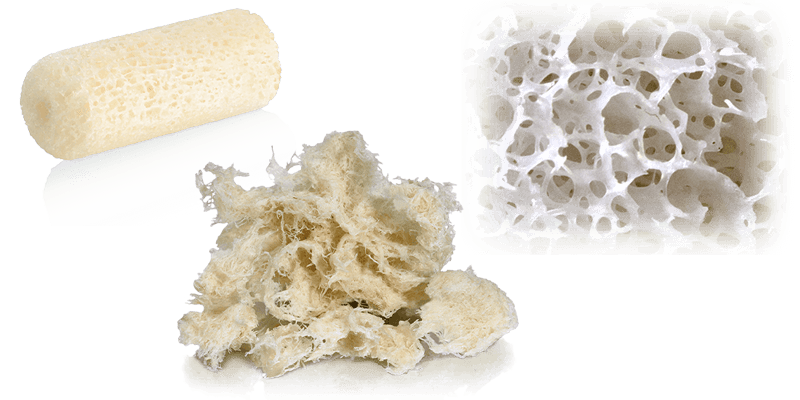 Revision Core, Enhance, AlloAid® BP